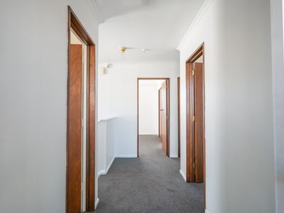 41 Duncan Street, Dunedin Central