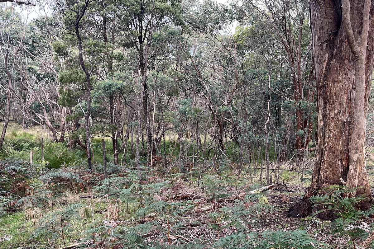 213 Ridge Road, Gooram