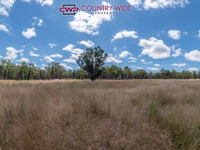 729 Wallangra Road, Ashford