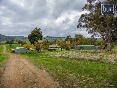 1242 Wymah Road, Bowna