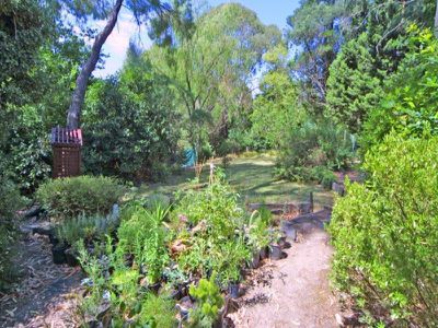 31 Childers Road, Mount Macedon
