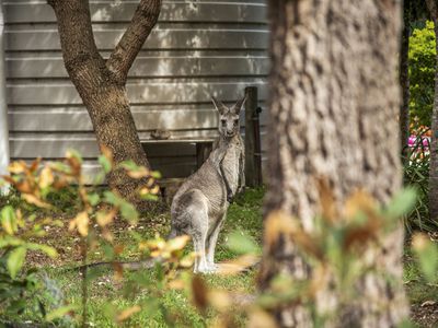 42 Lake Conjola Entrance Road, Lake Conjola