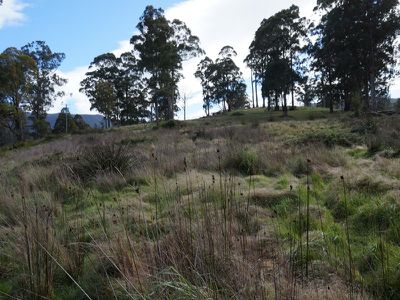 Lot 1 Kalonga Road, Nicholls Rivulet
