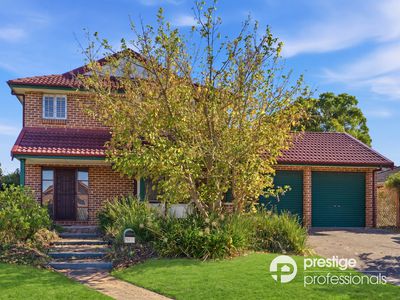 31 Arrowfield Drive, Wattle Grove