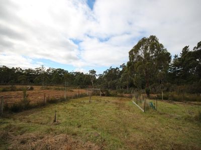 216 Lune River Road, Lune River