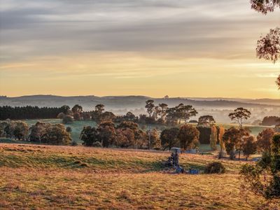 151 Gillamatong Lane, Braidwood