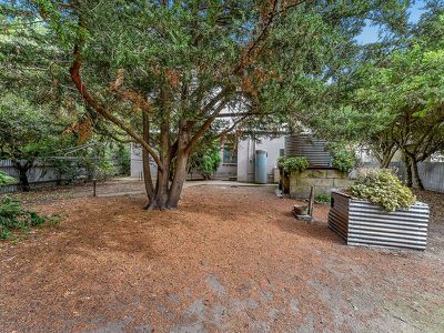 351 Tantanoola Road, Tantanoola