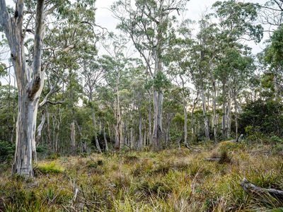 'Hardings Bay Retreat', Lake Leake Road, Lake Leake