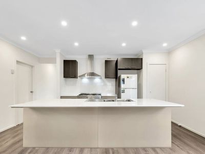 41 Conondale Avenue, Truganina