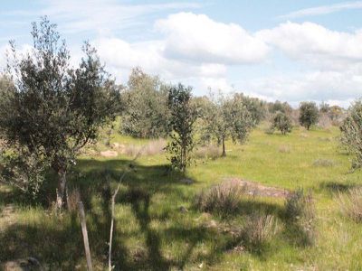 106 Travers Lane, Heathcote