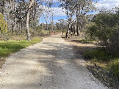 CA 37H Olympic Parade, Maiden Gully