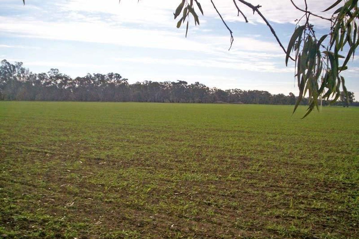 Cnr Davies Roads & Warren Roads, Undera