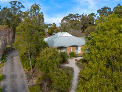 17  Turanga Road, Gisborne