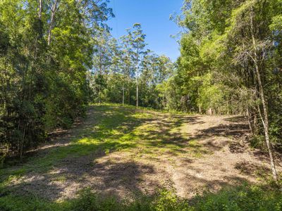 80 Robb Road, Lillian Rock