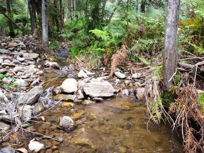 6358 Kiewa Valley Highway , Coral Bank