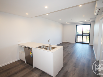 310 / 11 Raphael Street, Lidcombe