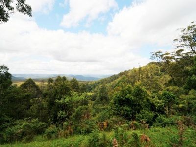 673c Tallowa Dam Road, Kangaroo Valley