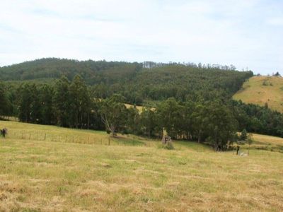 Huon Highway, Dover