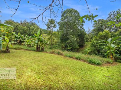 5330 Kyogle Road, Cawongla