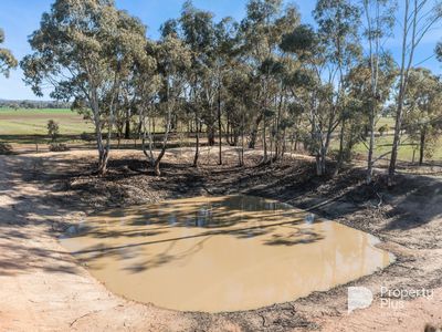 1 Keoghs Lane, Murphys Creek