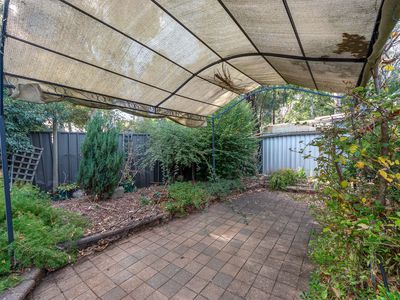 15 Currumbin Avenue, Blakeview