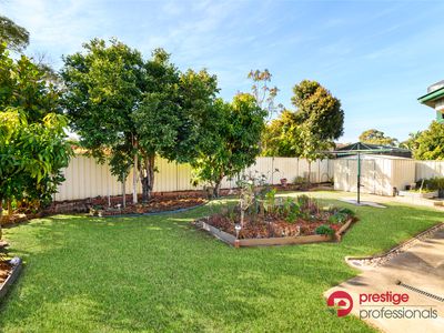 7 Delfin Drive, Wattle Grove