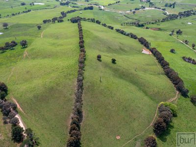 275 Soldier Settlers Road, Tallangatta Valley