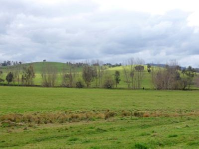 Yackandandah Myrtleford Road, Yackandandah
