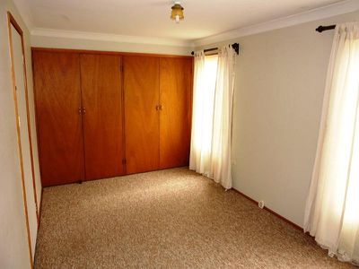 Mount Warrigal