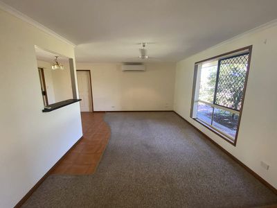 121 Ibis Boulevard, Eli Waters