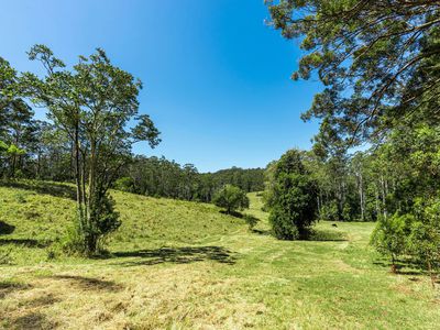 4358 Kyogle Road, Lillian Rock