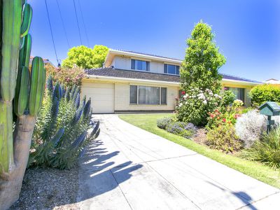 25 Harris Street, Netley