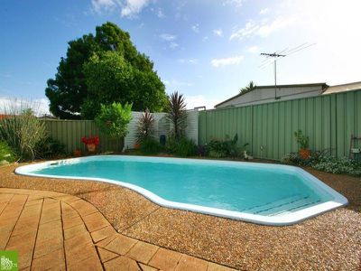 Mount Warrigal