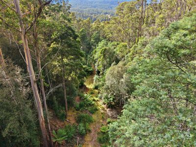 111 Underwoods Road, Nicholls Rivulet