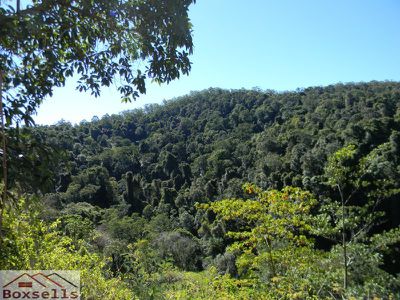 Maleny