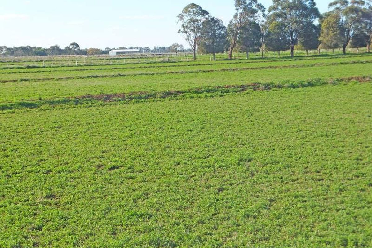 1026 Finlay Road, Kyabram