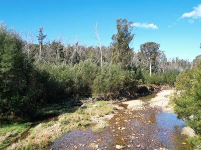 115 Gulph Creek Road, Nerrigundah