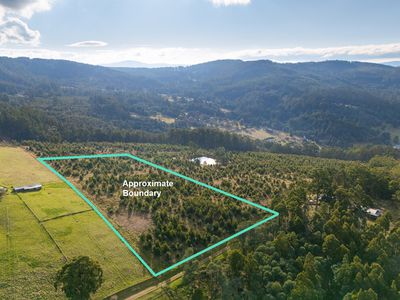 Lot 7 off Paddys Lane, Franklin