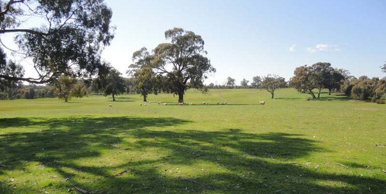 Walls Road, Euroa