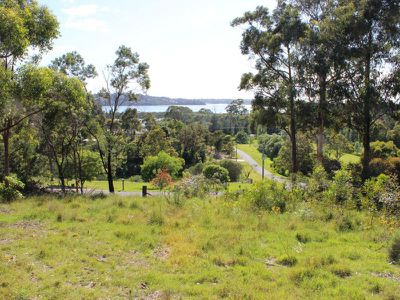 Lot 14 Stringybark Place, Millingandi