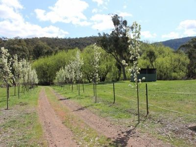 811 Glen Creek Road BARJARG, Mansfield
