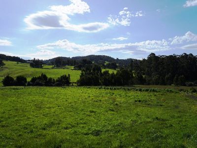 2 Christina Street, Cygnet