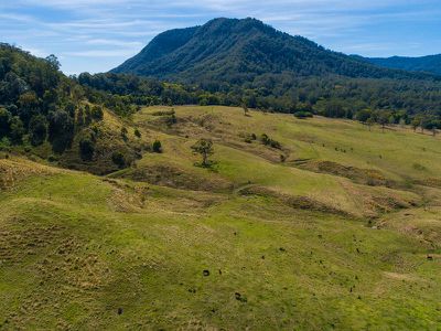 163 Blue Knob Road, Nimbin