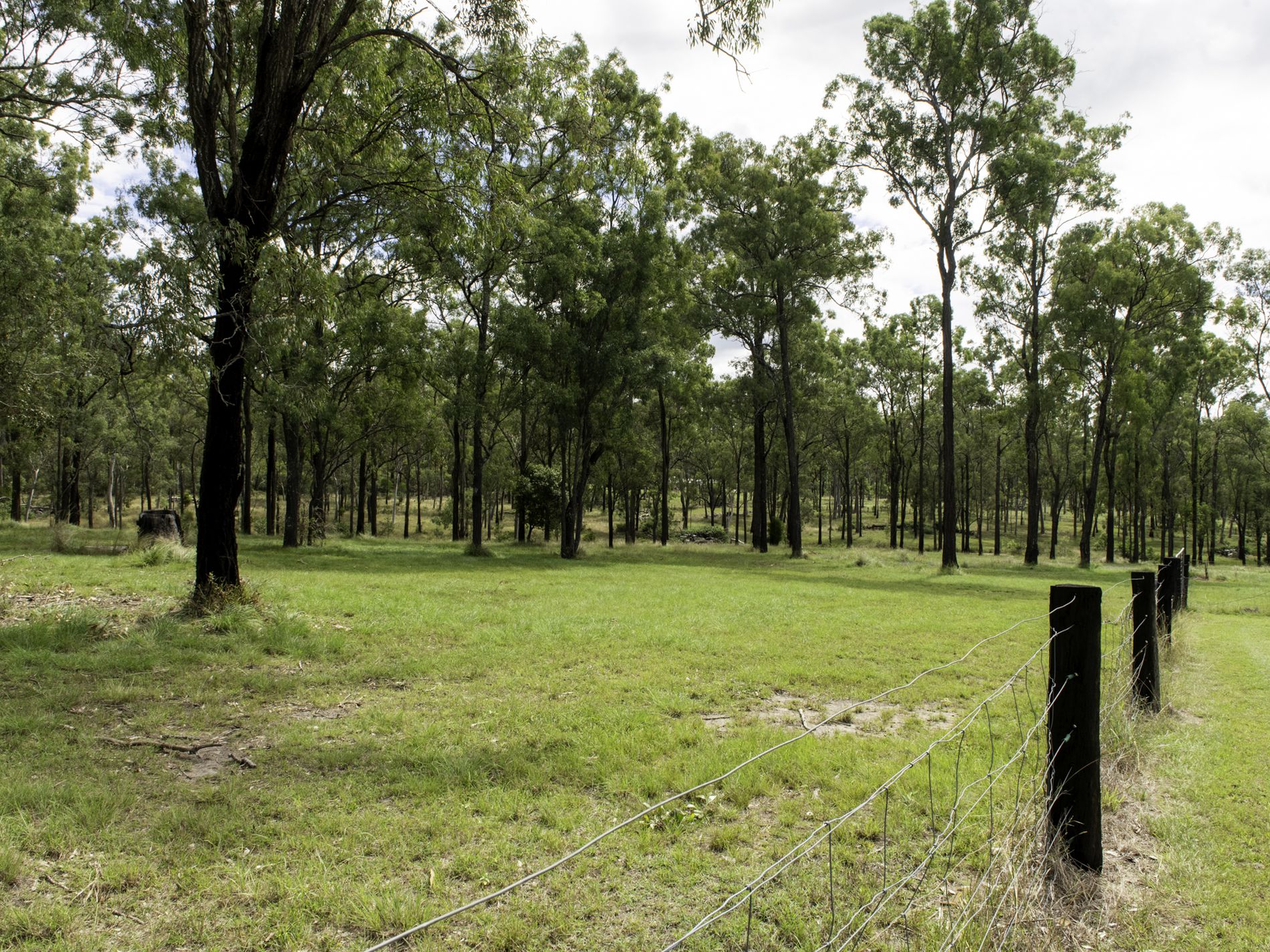 198 Burkes Road, Booie