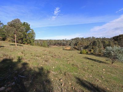 Lot 2 Warrowitue Forest Road, Heathcote