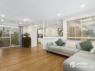 3 Tocal Court, Wattle Grove