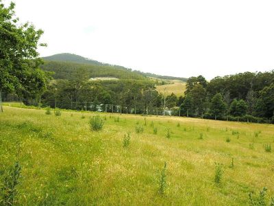 878 Glen Huon Road, Glen Huon