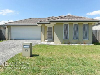 12 Drewett Avenue, Redbank Plains