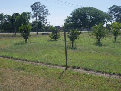1372 Reedy Creek Road, Kingaroy