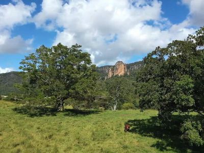 2430 Nimbin Road, Nimbin